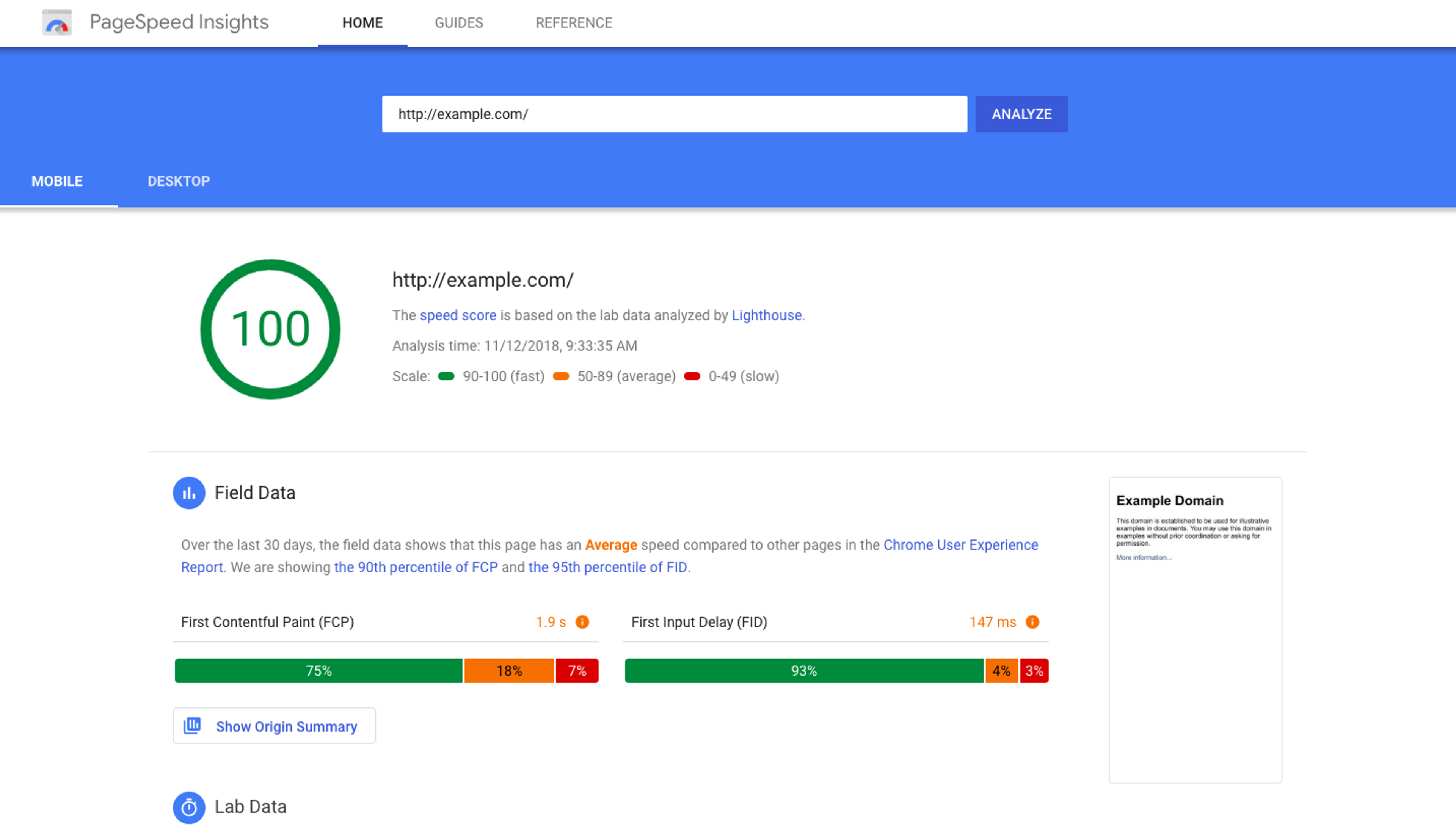 Google PageSpeed Insights score of 100 for a website