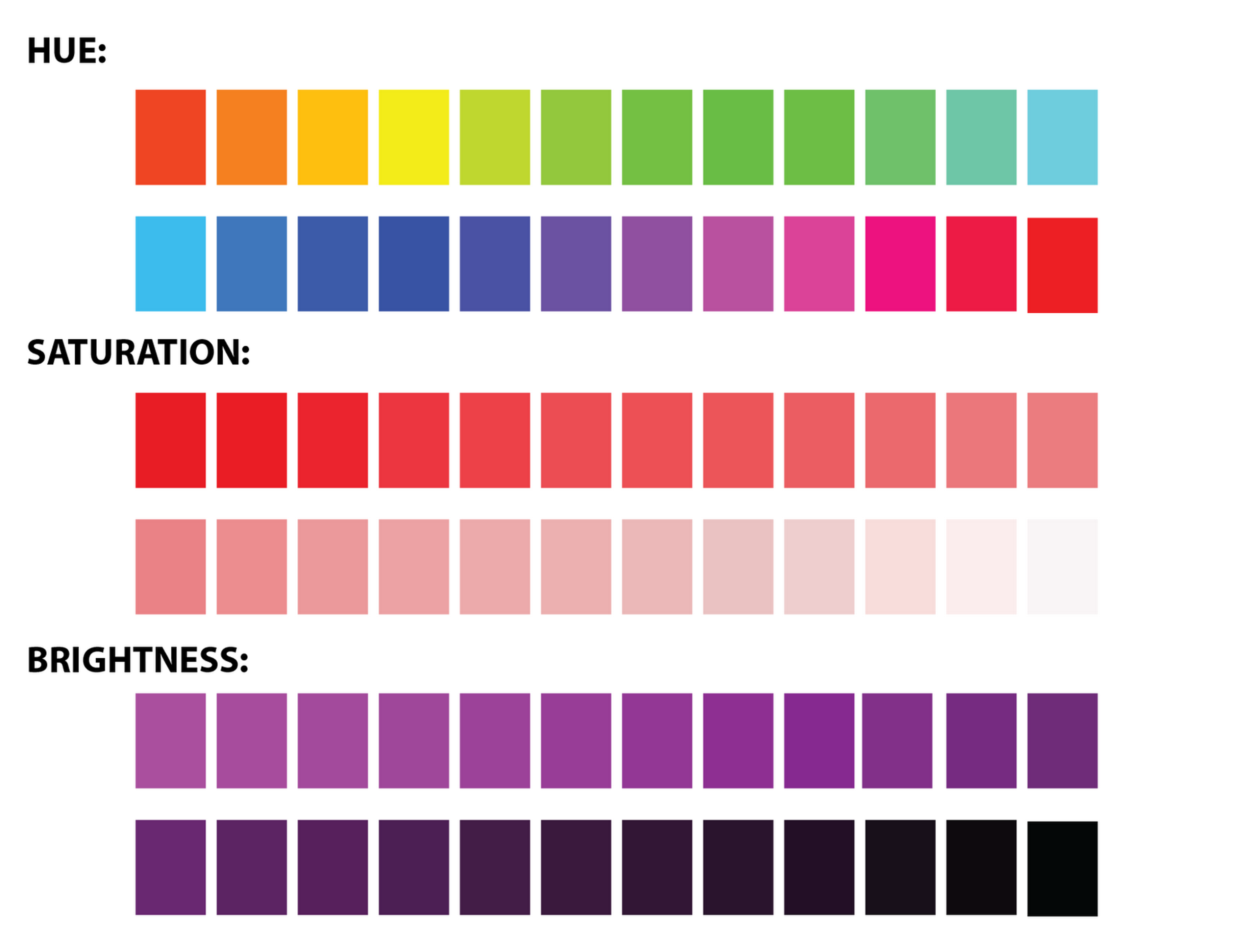 Color Theory in Web Design: Beginner's Guide | Clay
