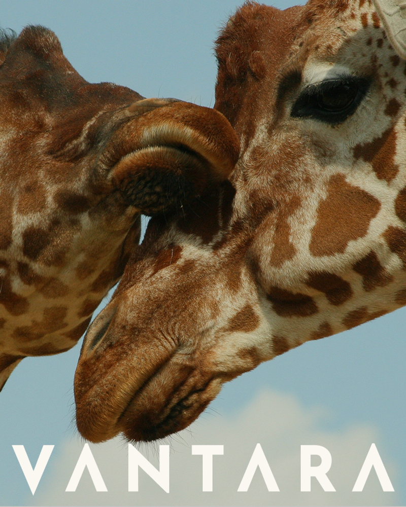 Vantara