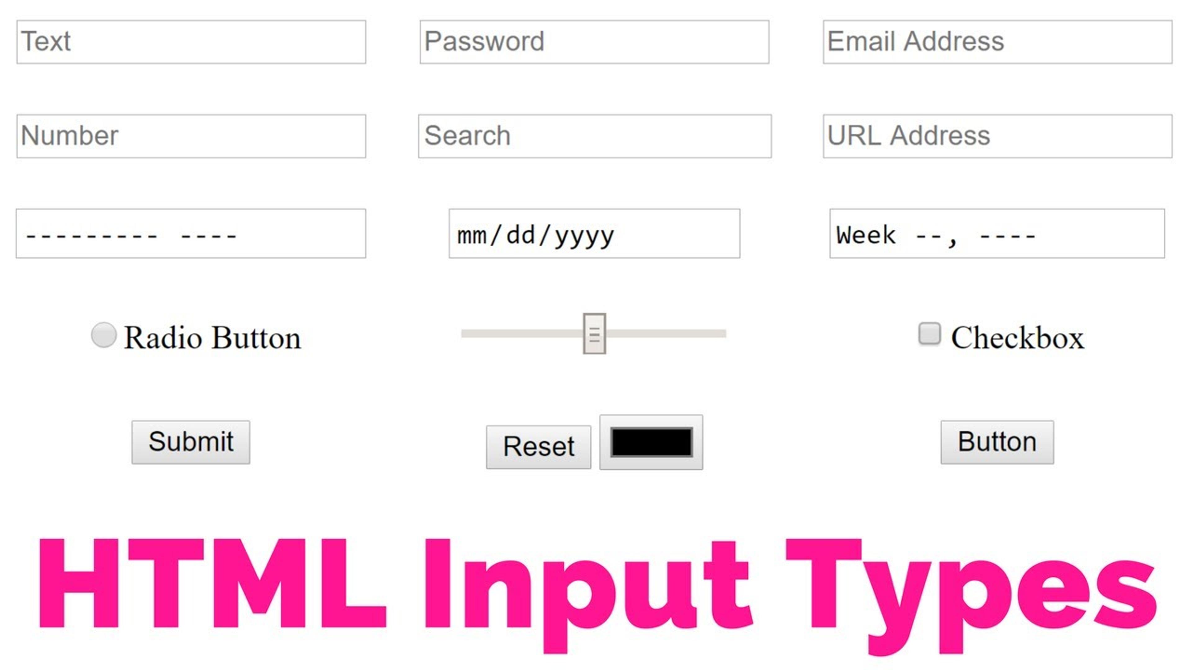 This image showcases various HTML input types