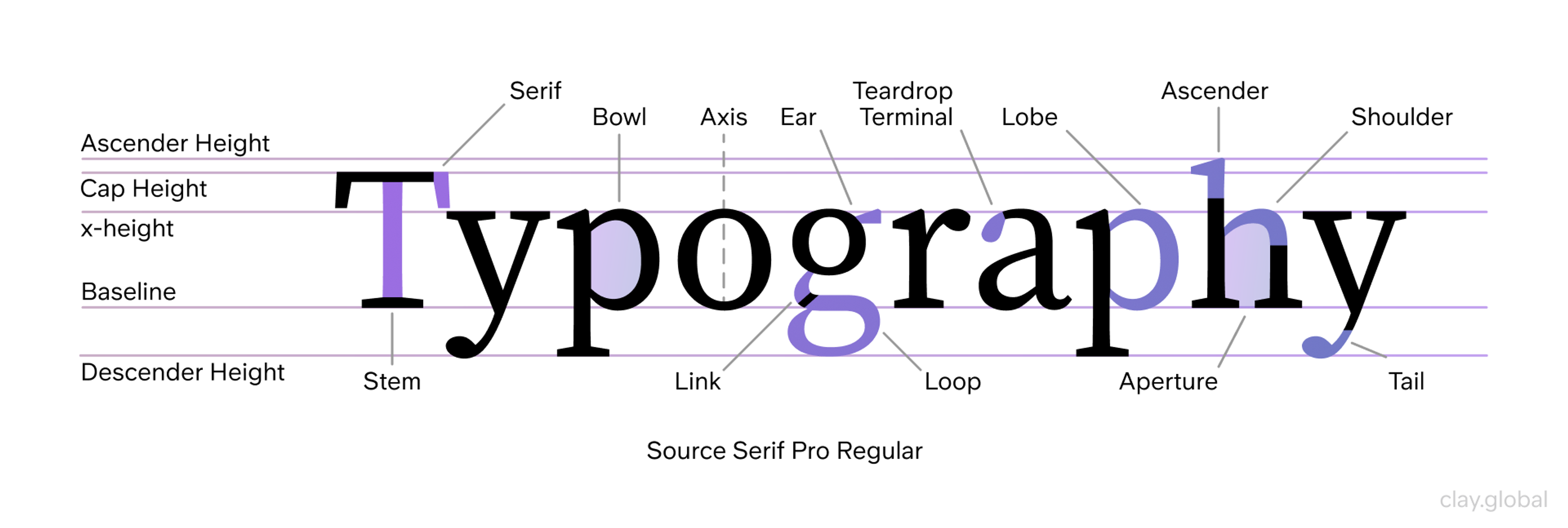 Typography anatomy and alignment basics