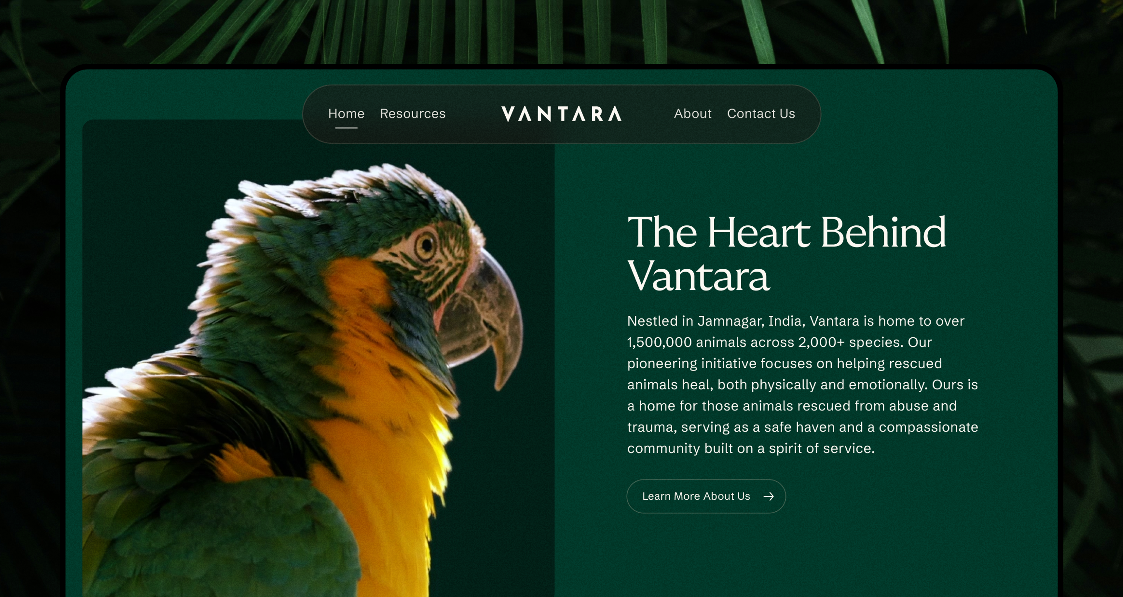 Vantara Gets Recognition from the Global Design Community - Clay