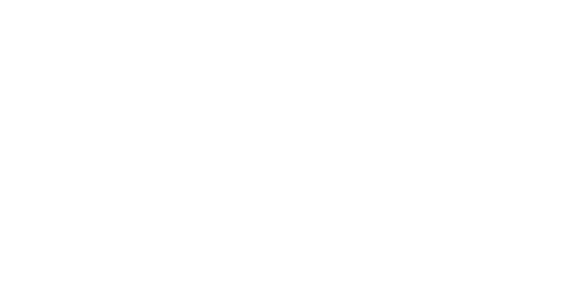 Wealth