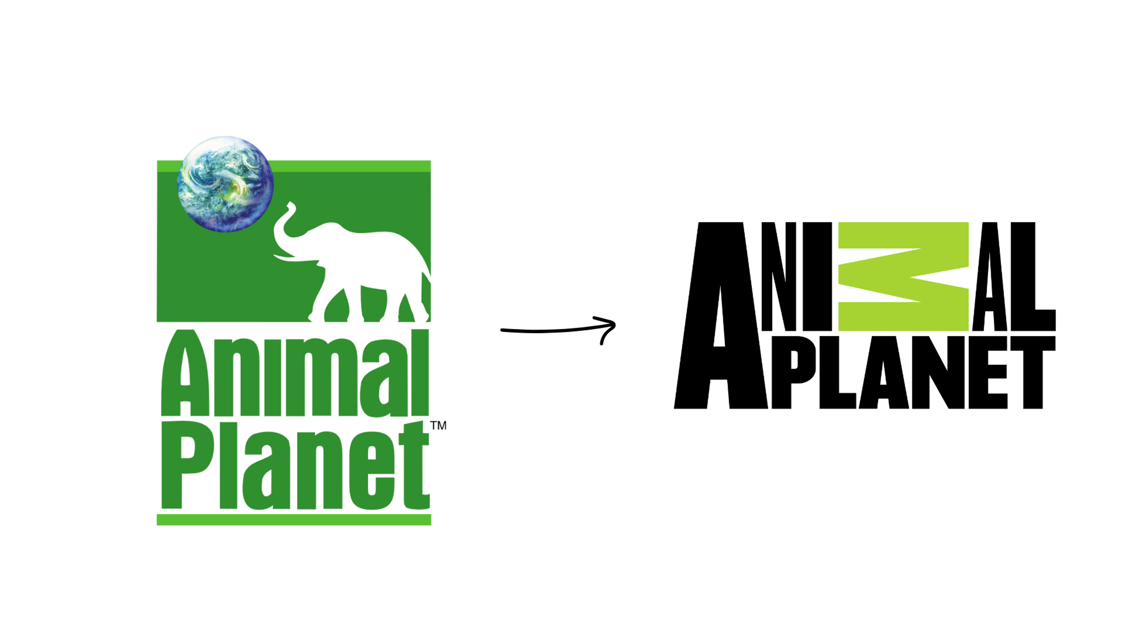 animal planet example