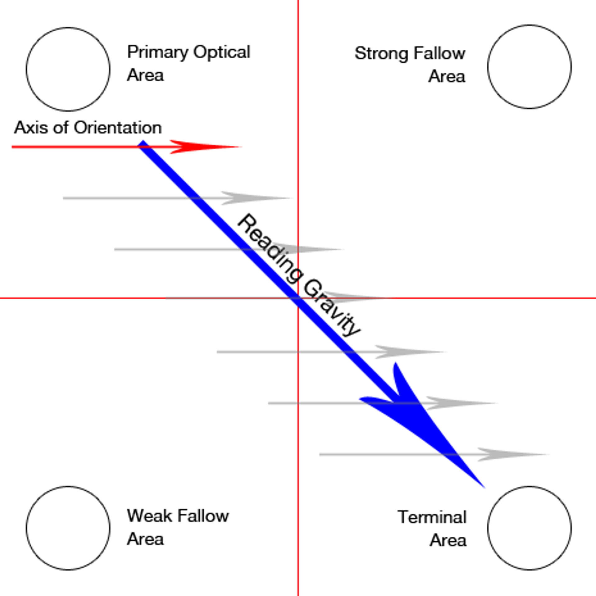 F Reading Path The F-Pattern for Reading: How to Optimize Your Content | Clay