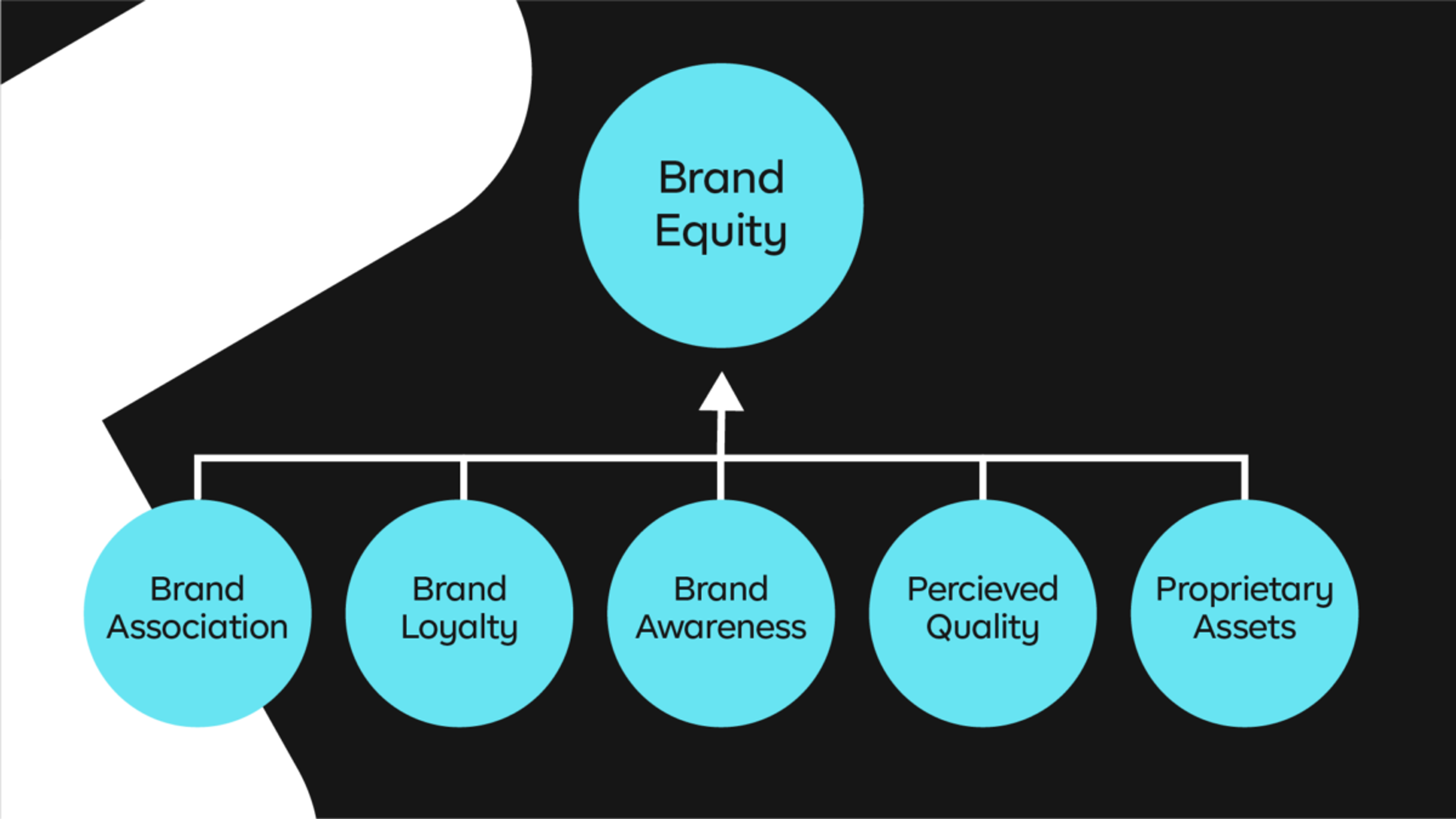 Components of brand equity