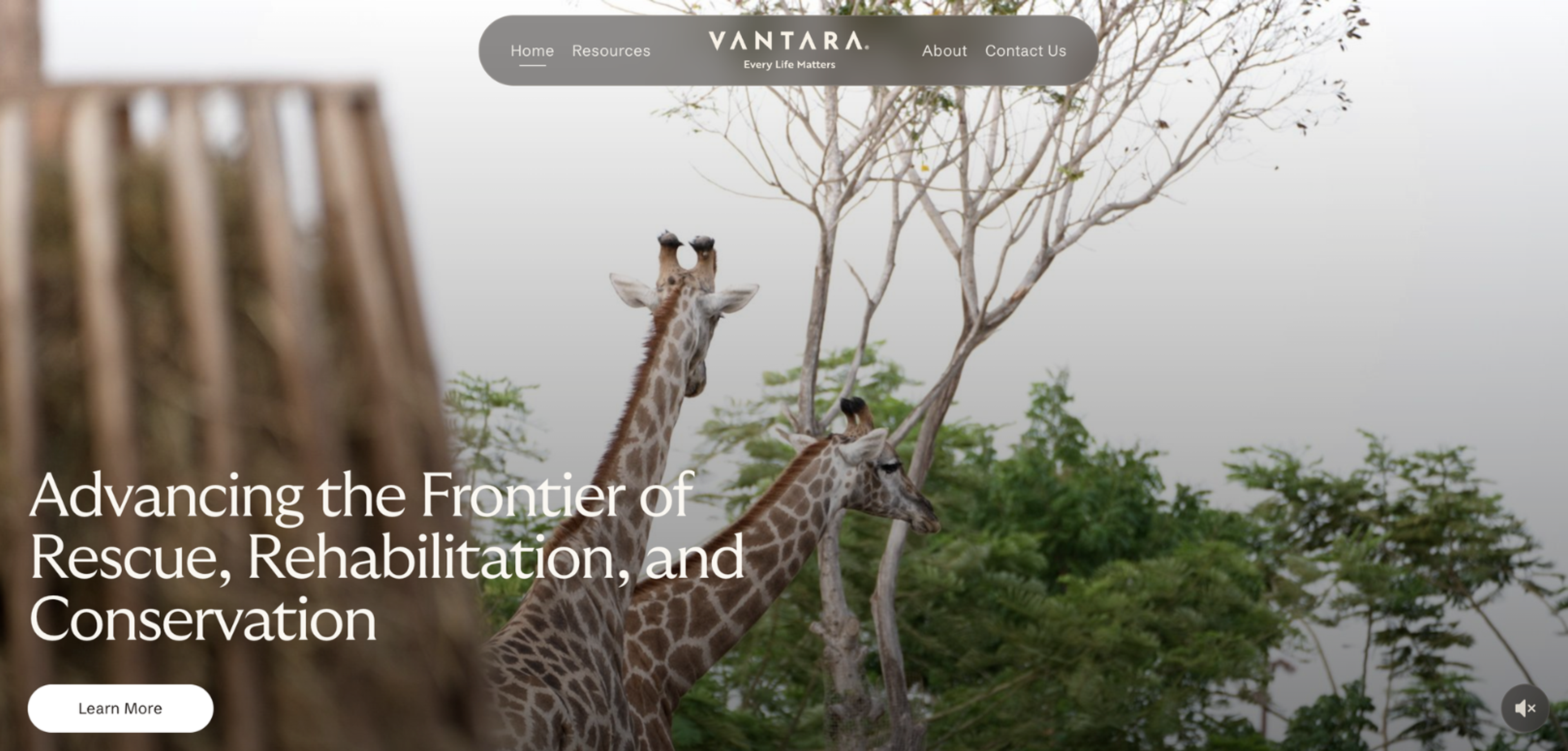 Vantara Skeuomorphic Interface Design