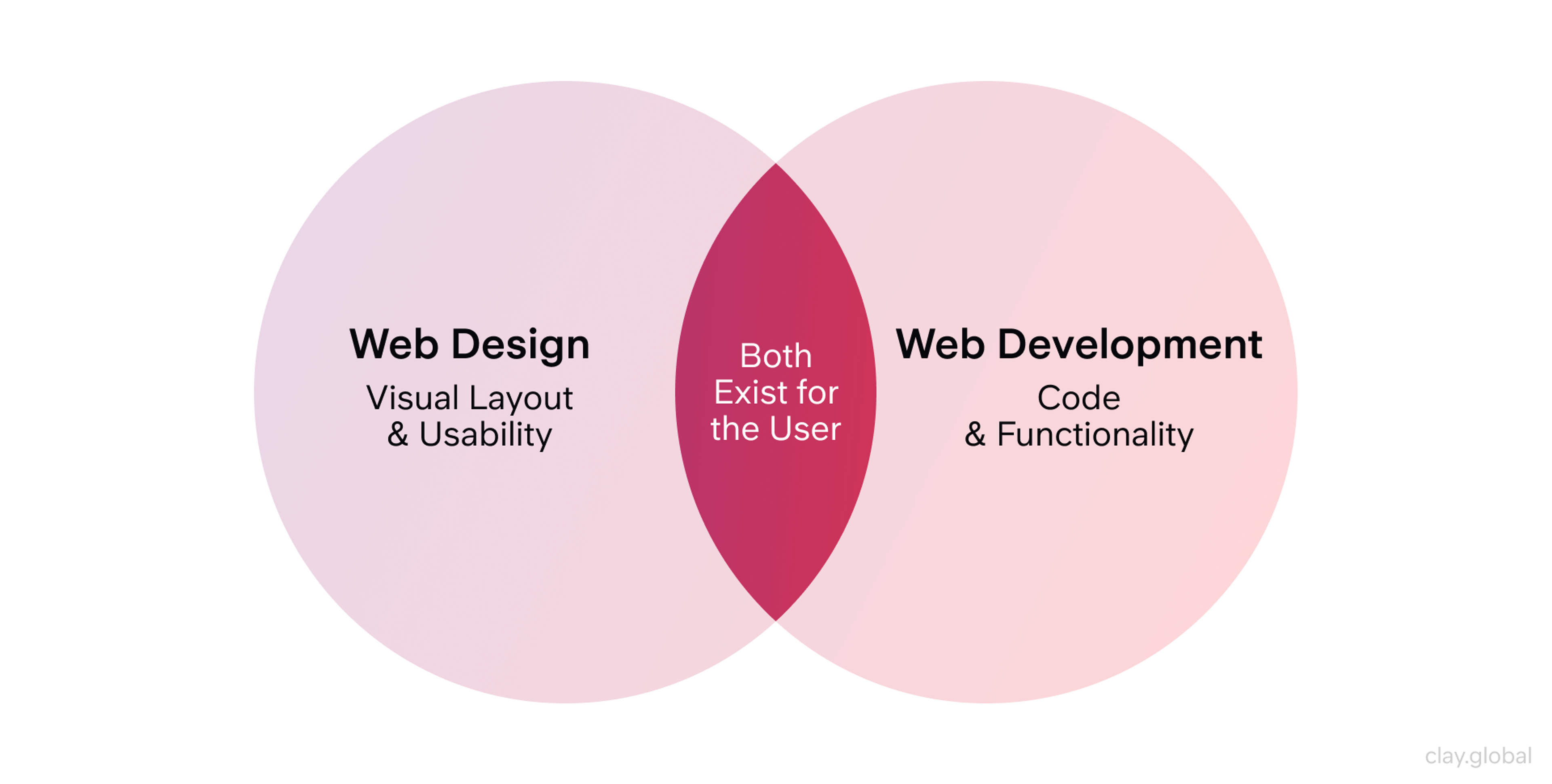 Web Design & Development