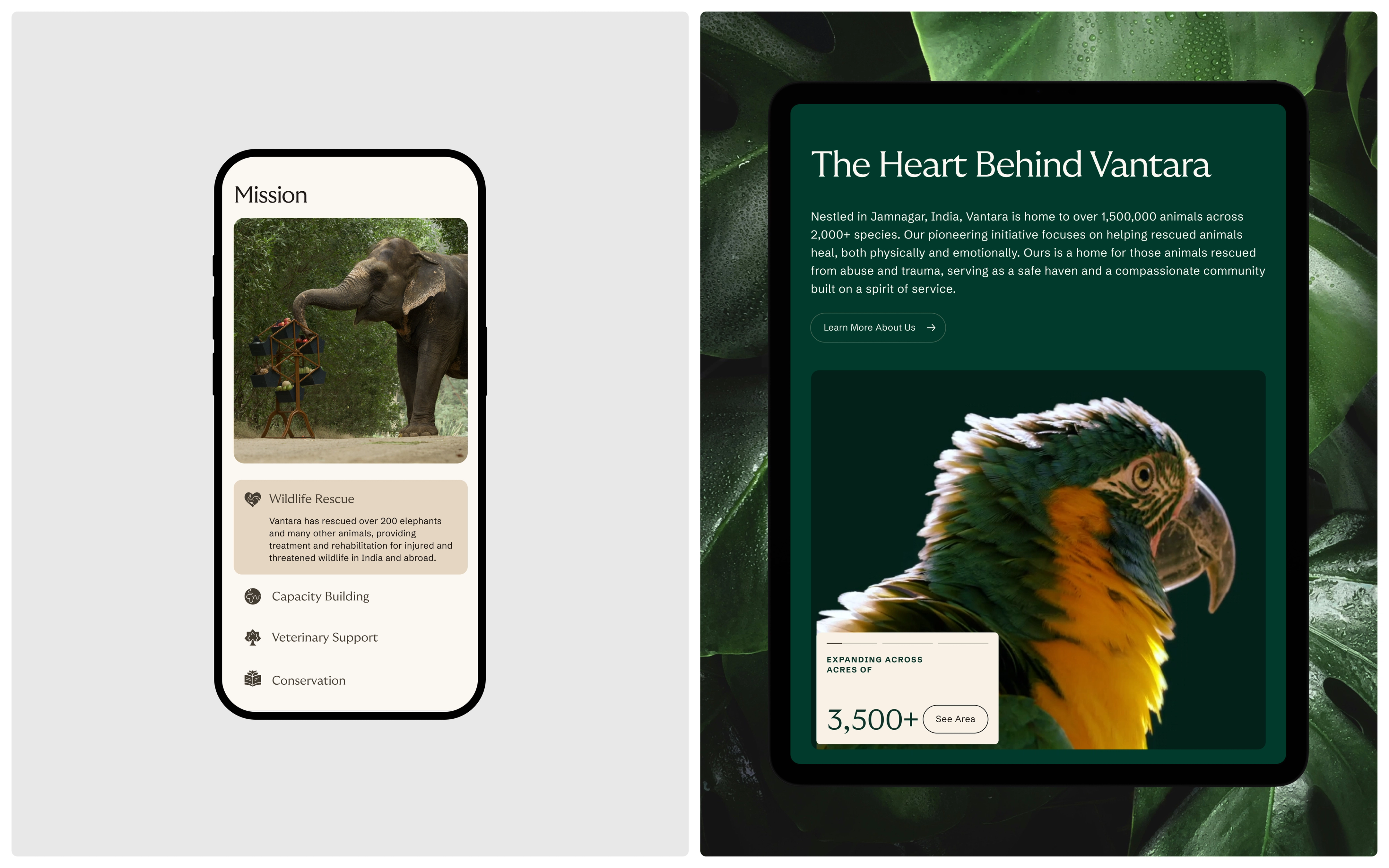 Vantara mission and About Us pages