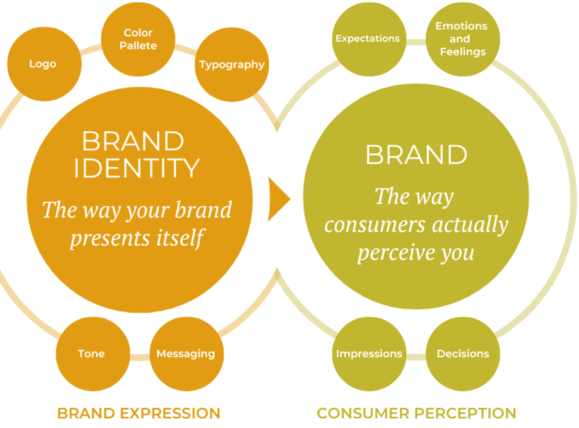 Brand Identity Guide: Craft Brand's Unique Image 2024 | Clay