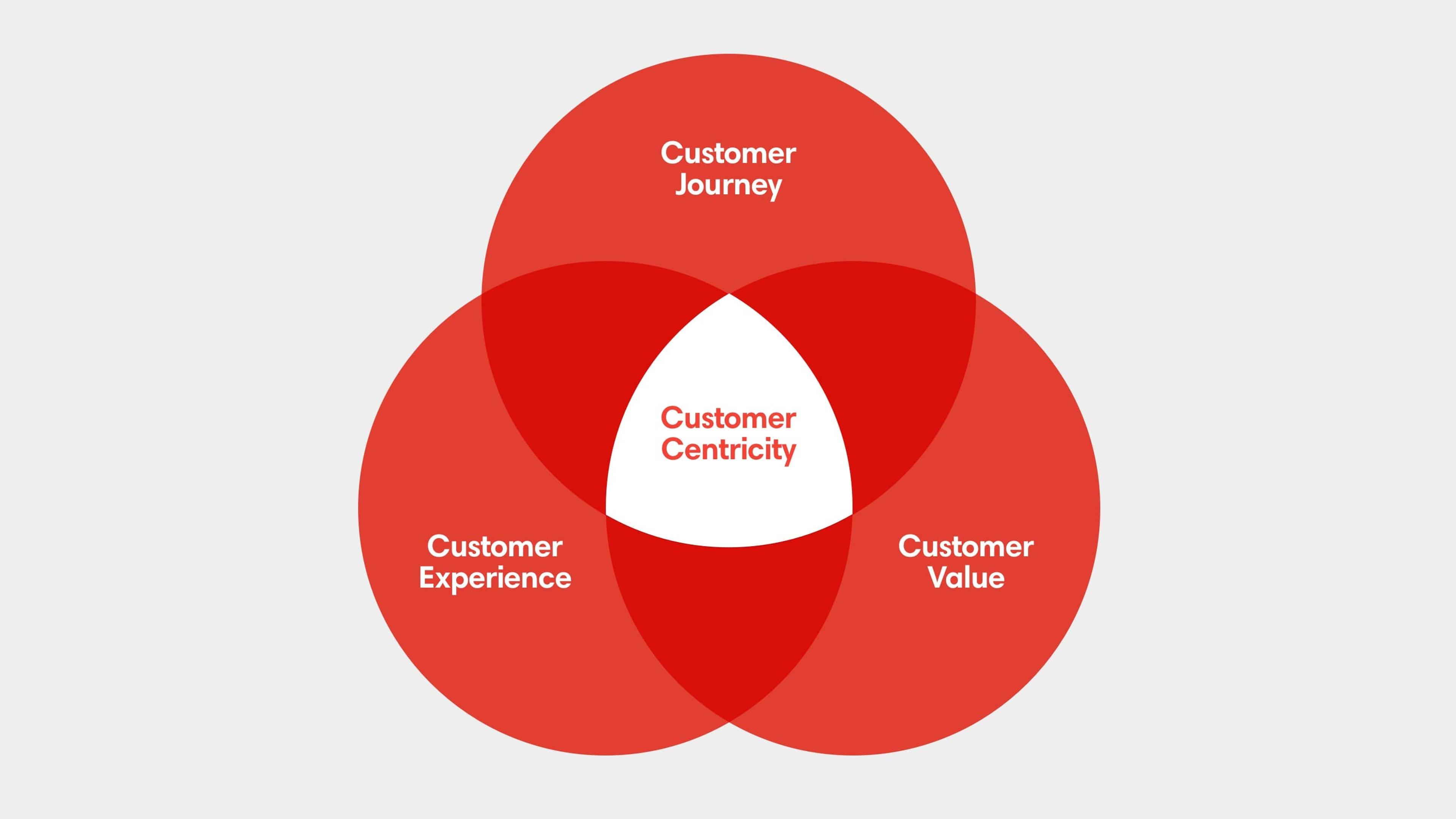 Customer Centricity infographic