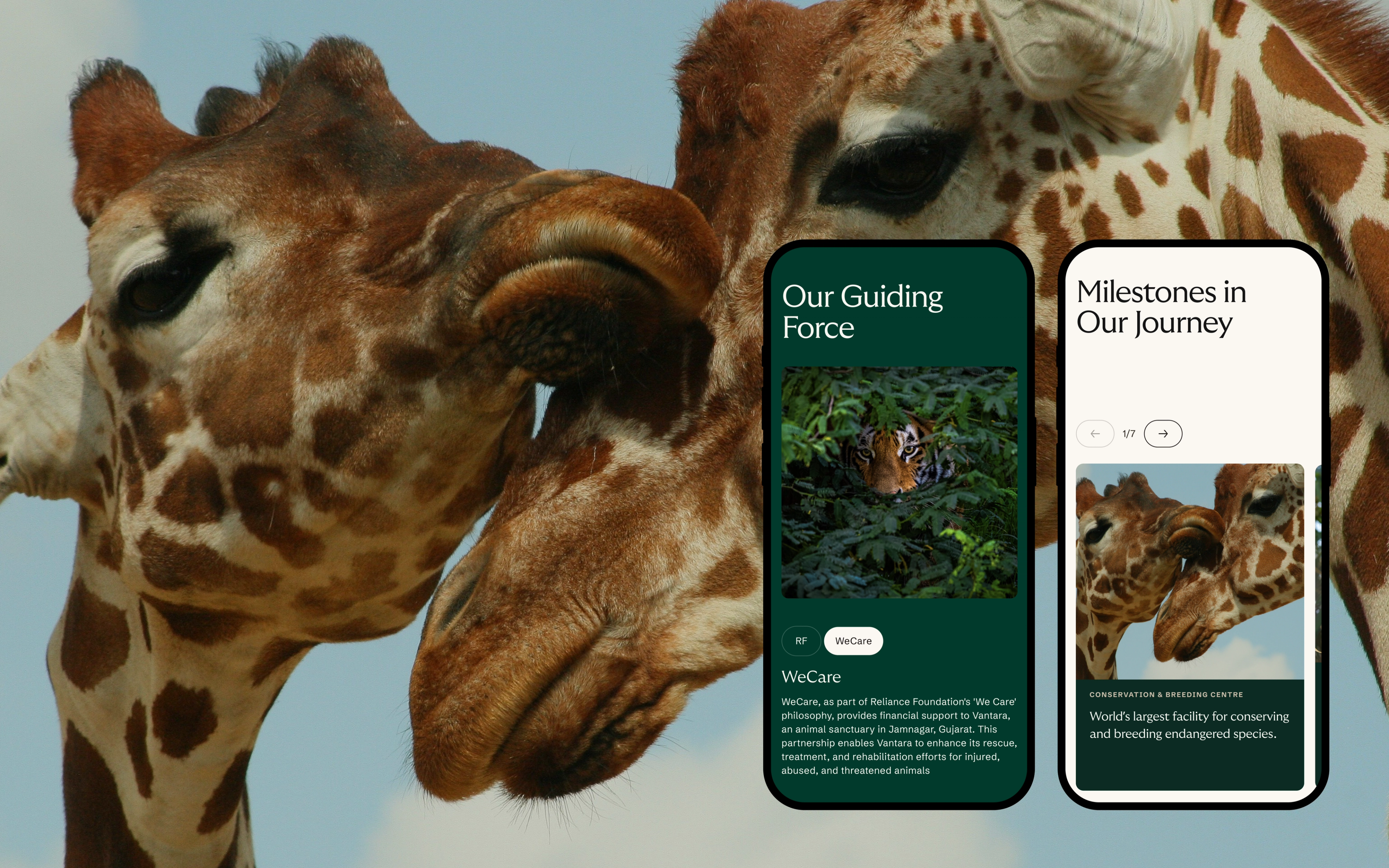 Vantara mobile app pages