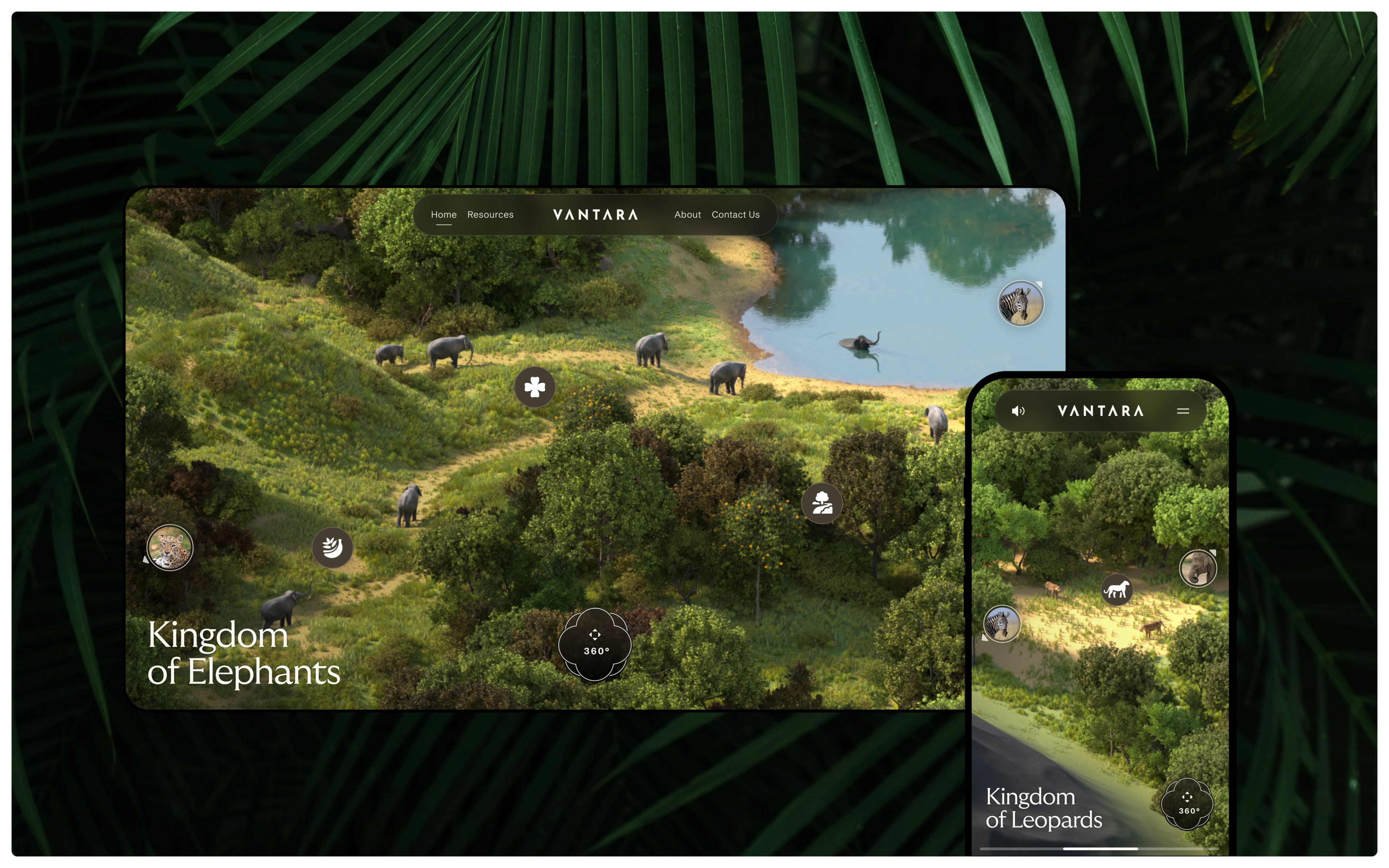 Vantara responsive design (web & mobile app)