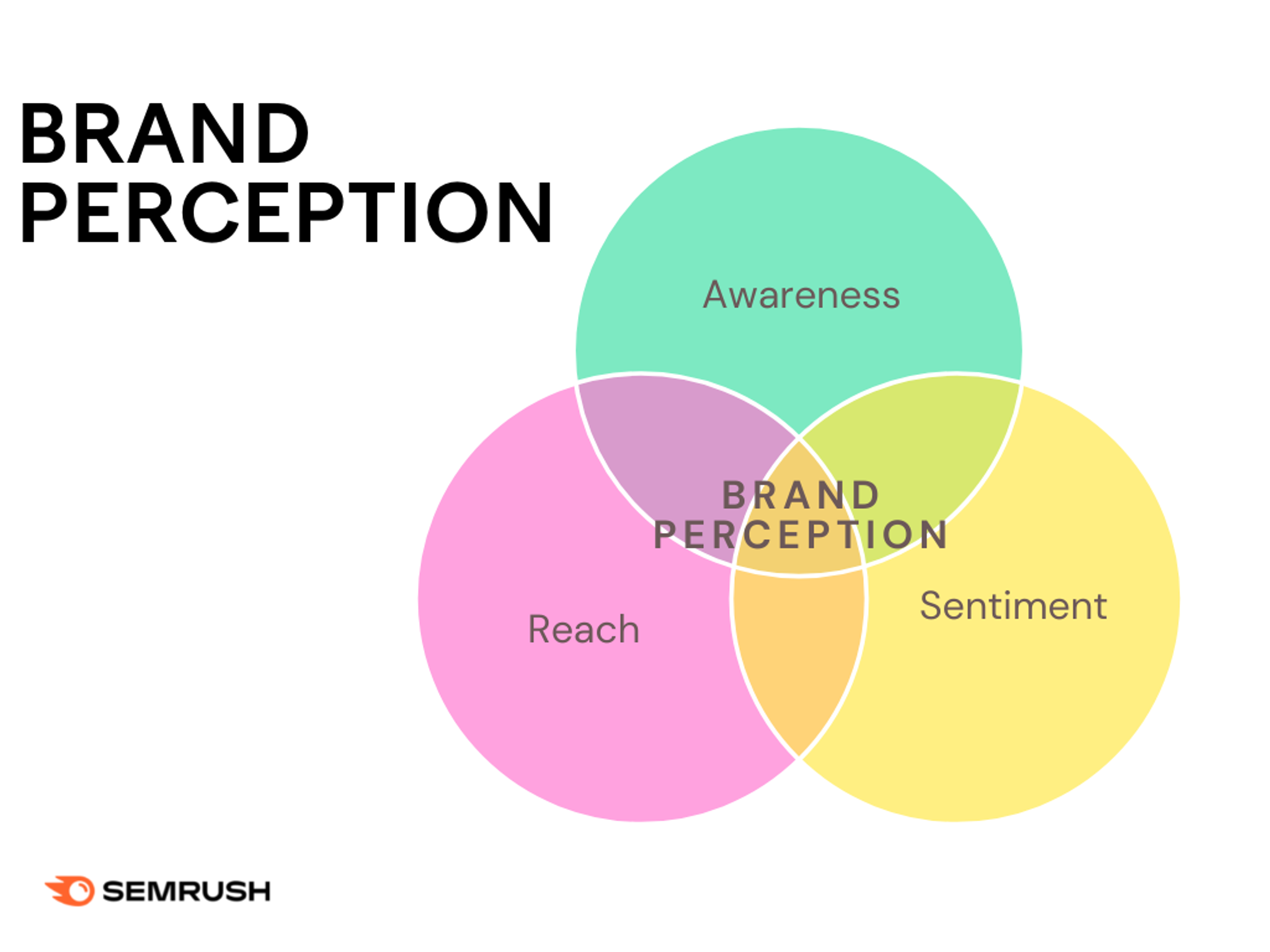 Brand perception infographic