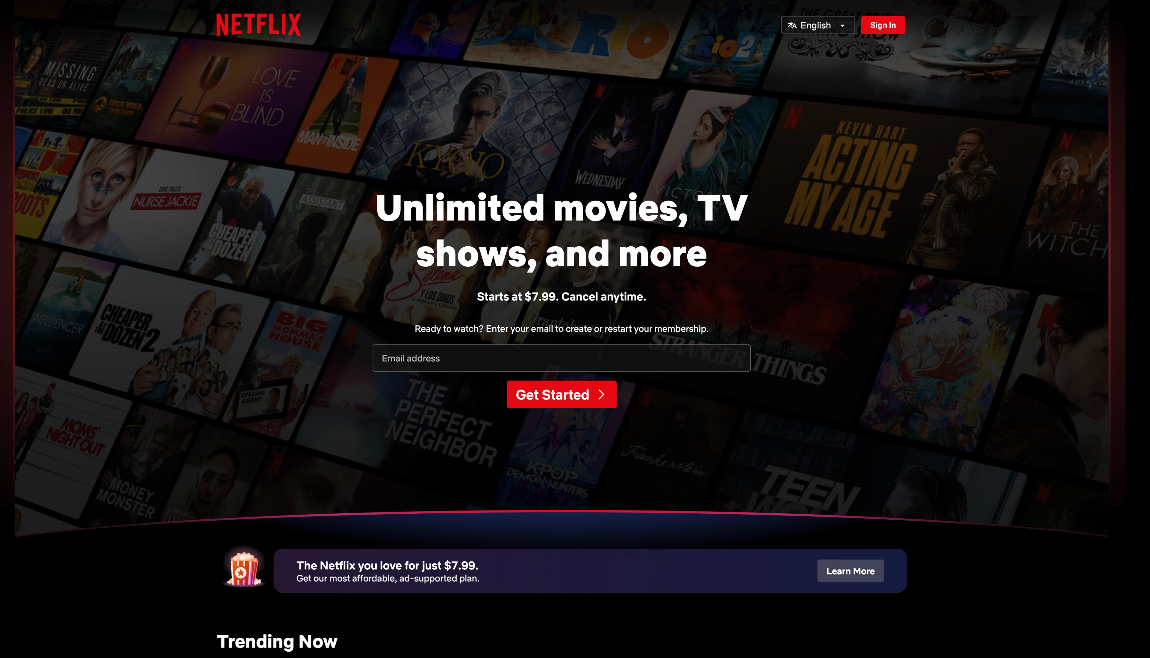 Netflix main page