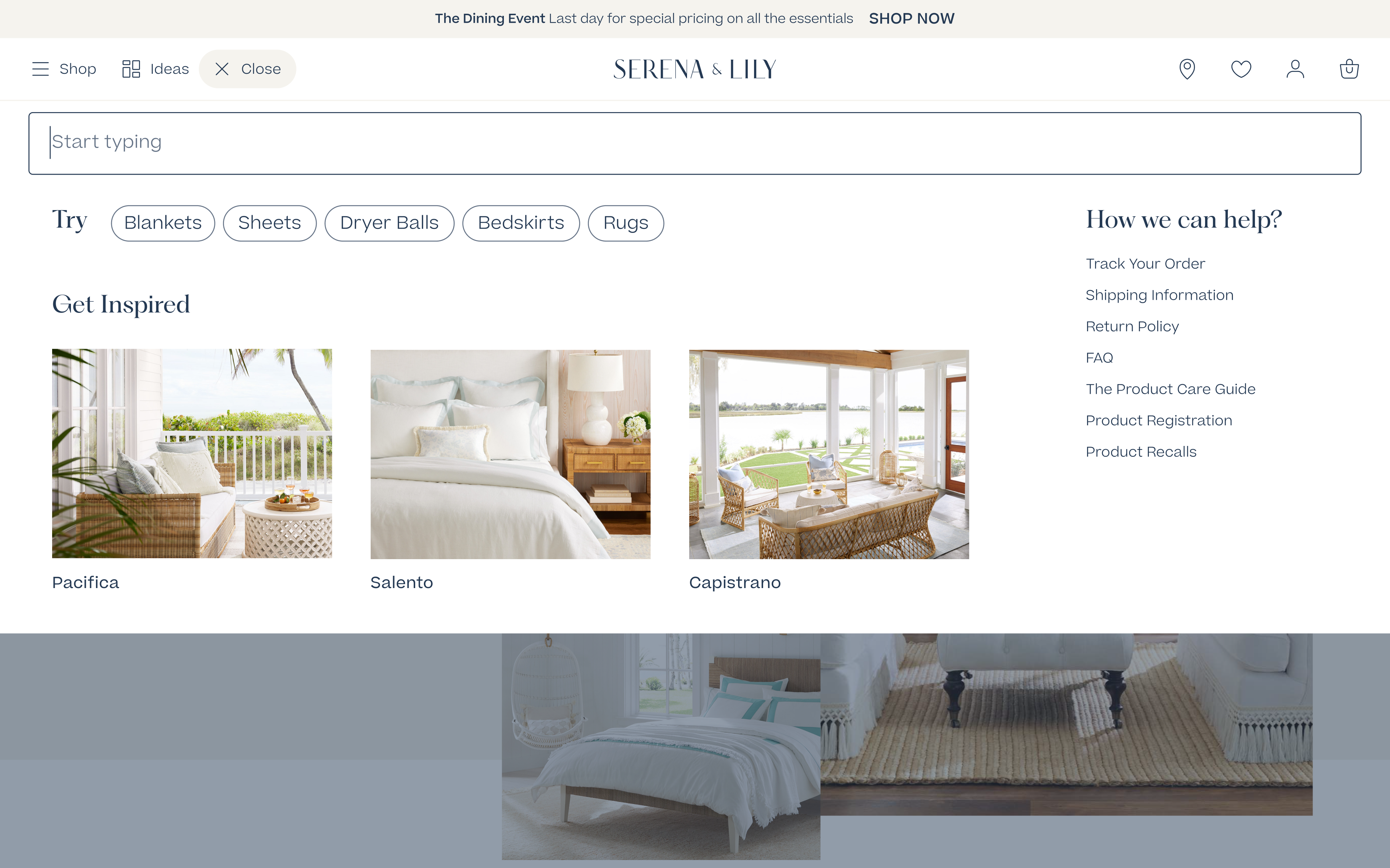 Serena & Lily website search