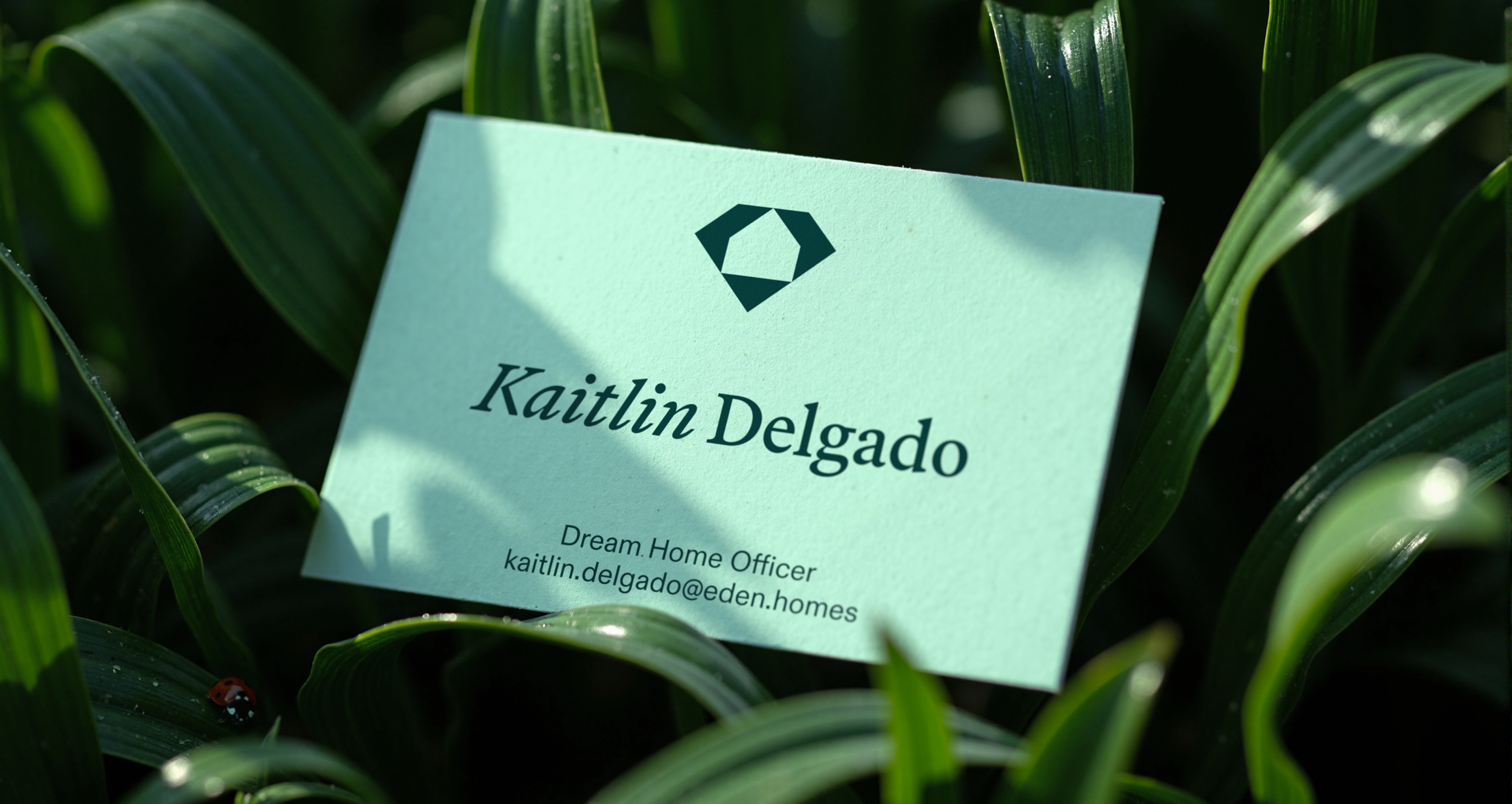 Eden Featured Across Leading Design Publications - Clay 