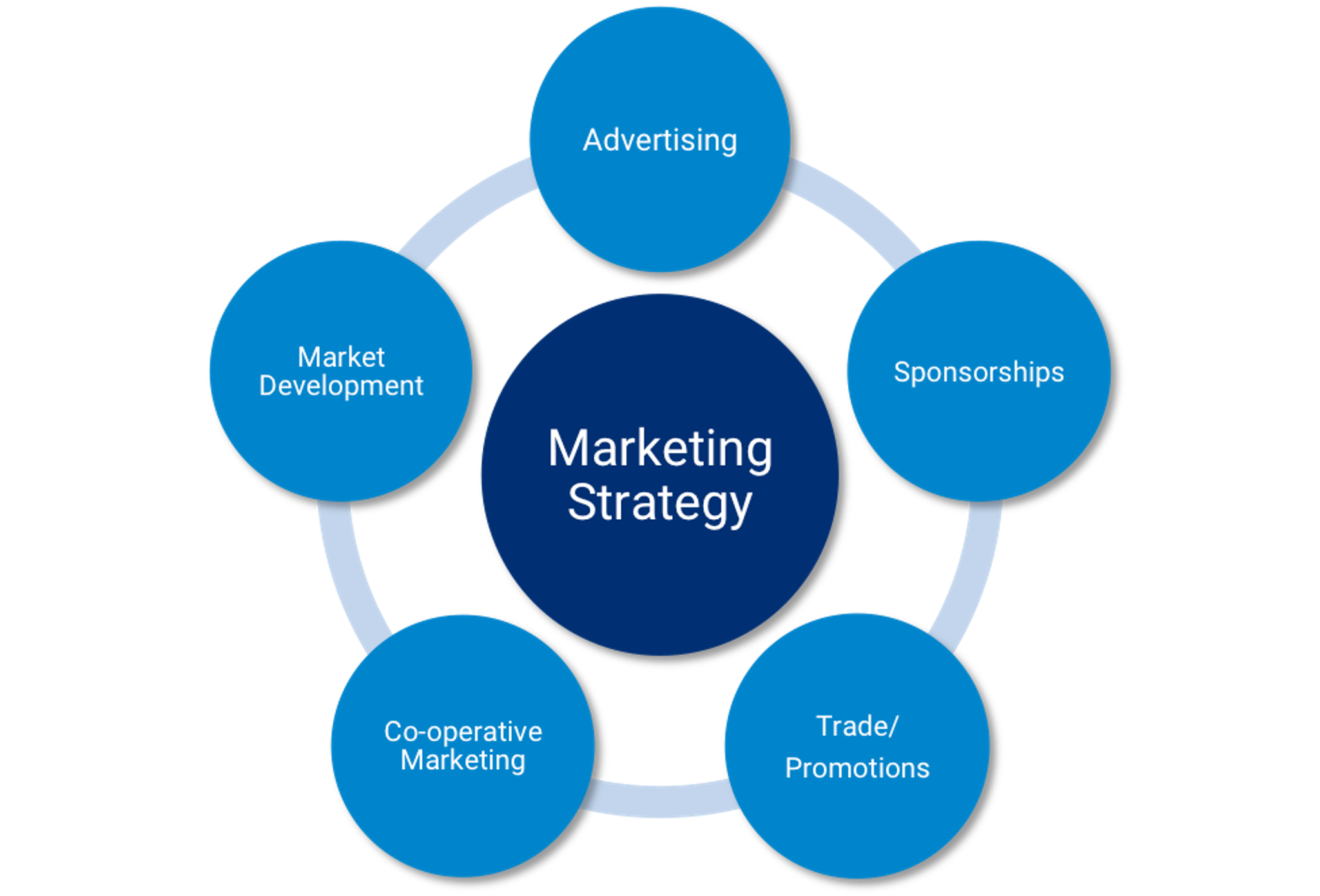 This image outlines key components of a marketing strategy