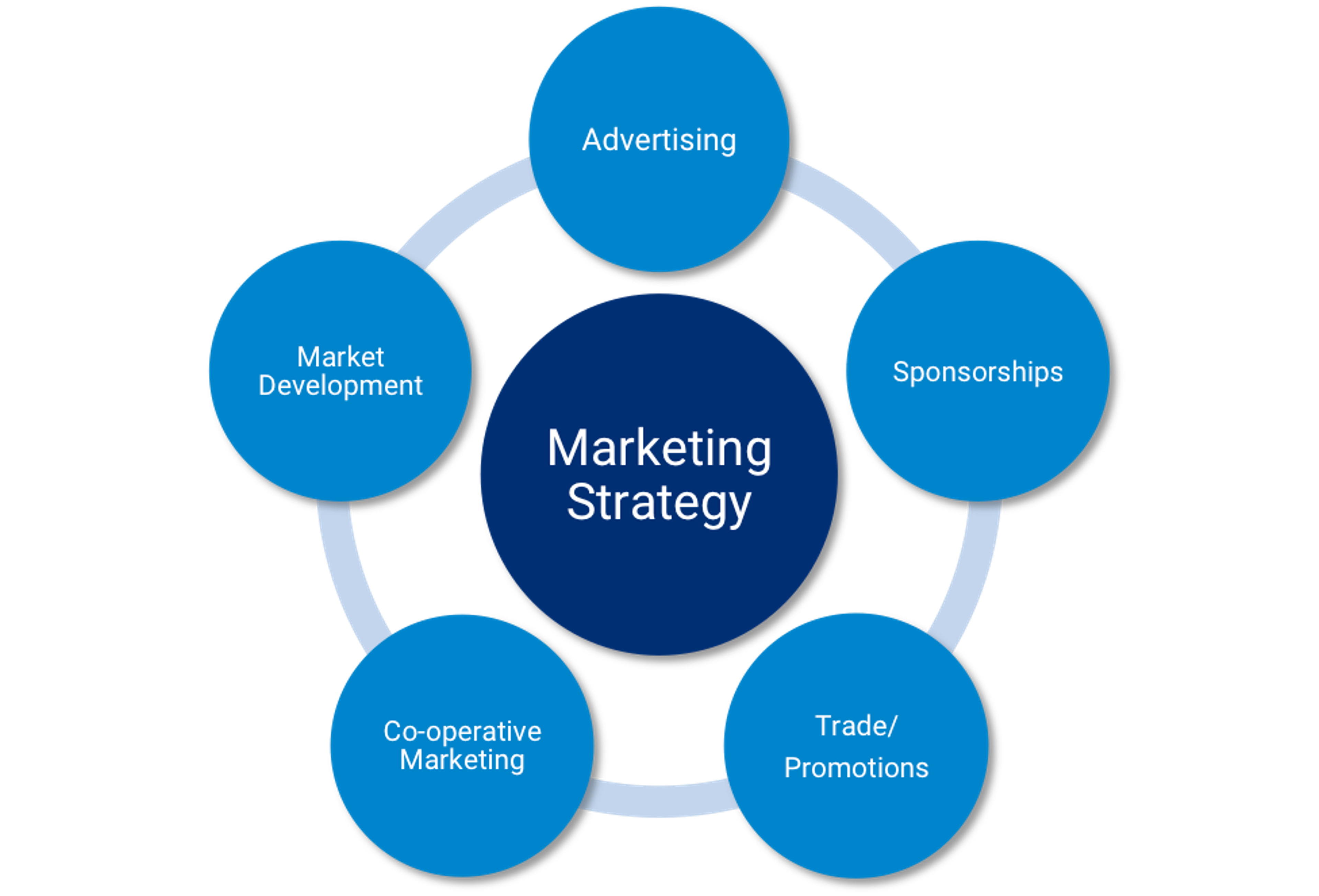 This image outlines key components of a marketing strategy