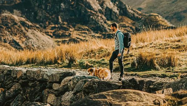 Hiking in the Ridgecrest Area: Your Ultimate Guide