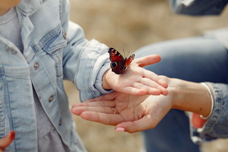 A young participant releases a Painted Lady butterfly