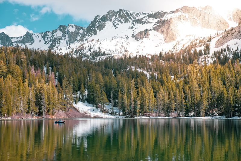 body of water surrounded by pine tree during daytime