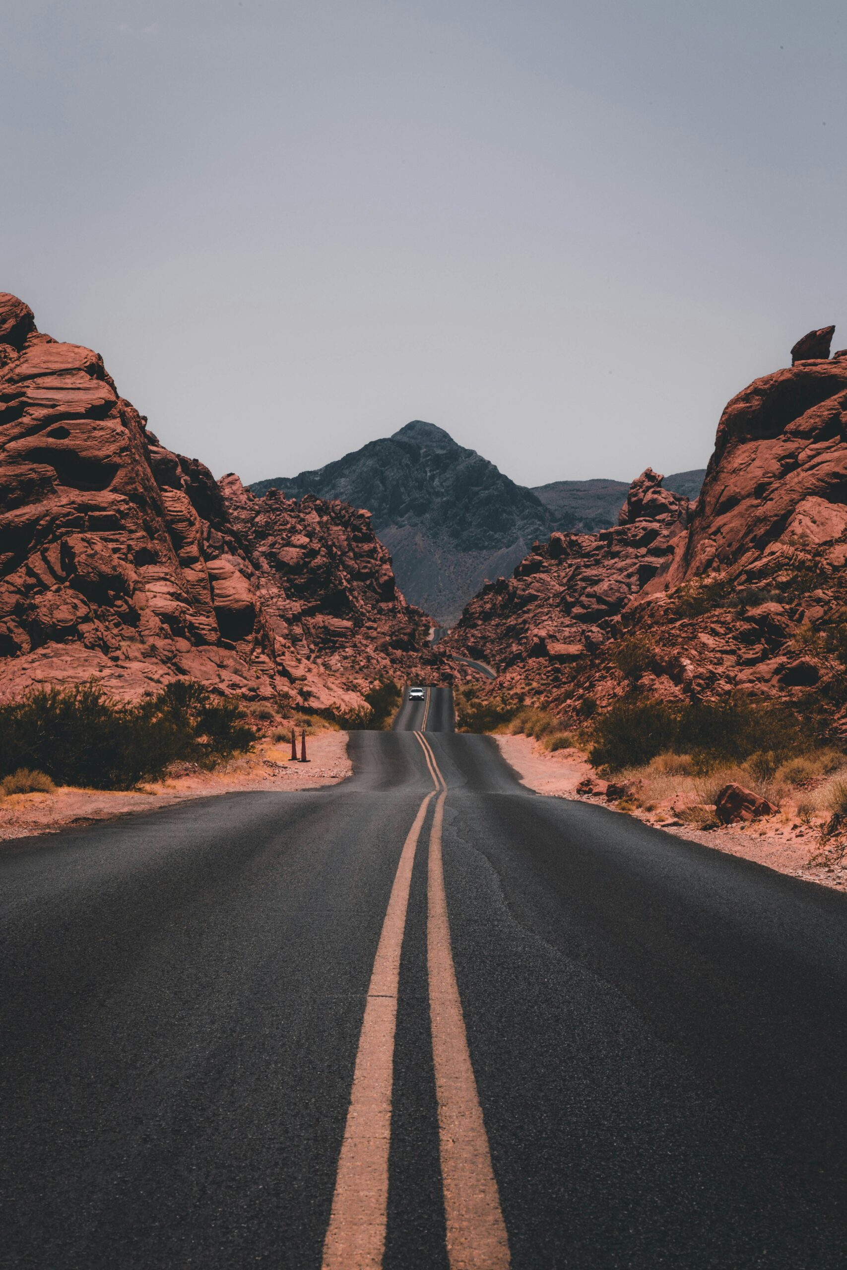 February 2025: How Travel Tech Hiring Rebalanced After a Year of Market Correction
