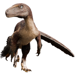 Deinonychus dinosaur