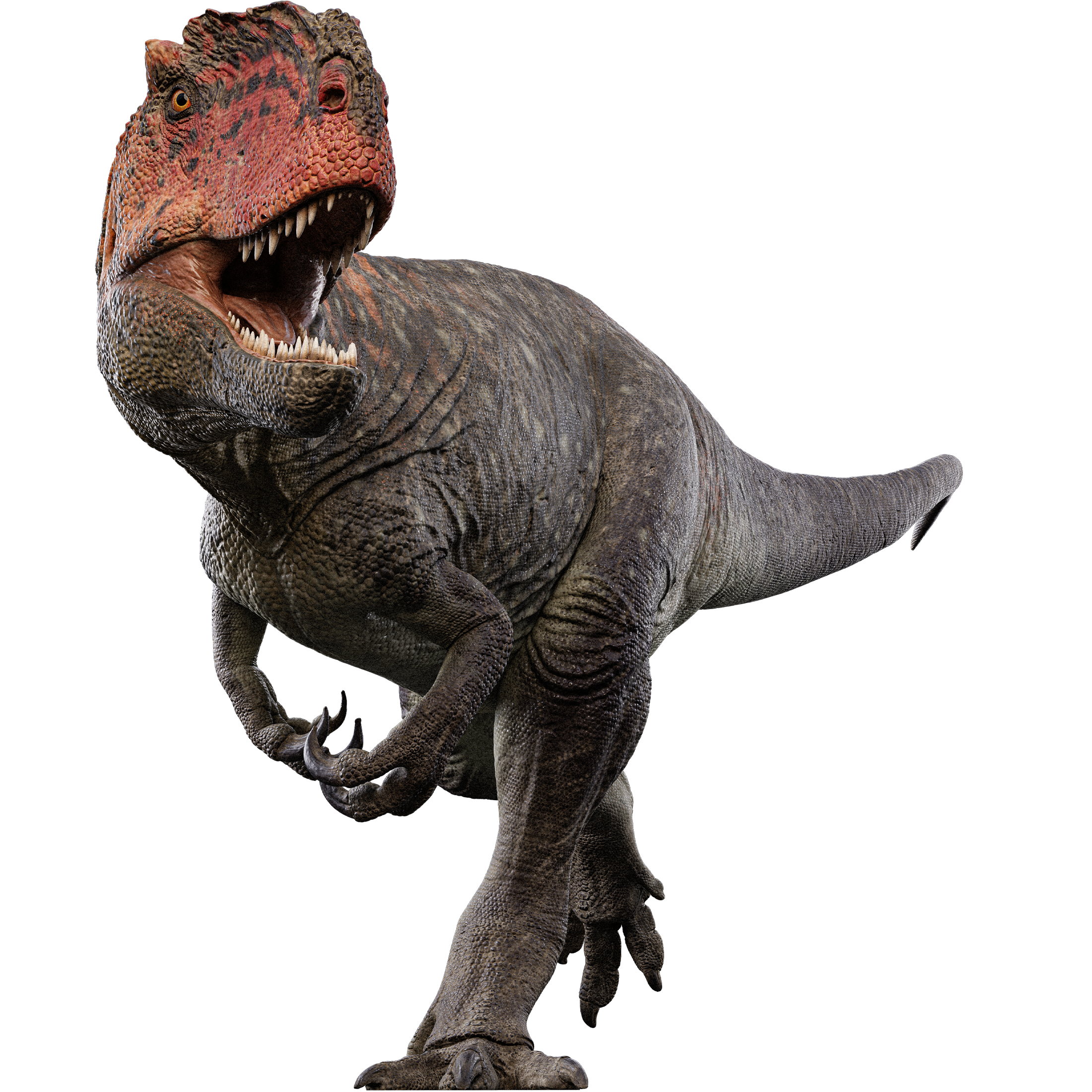 Accurate image of Alpkarakush with 360 view