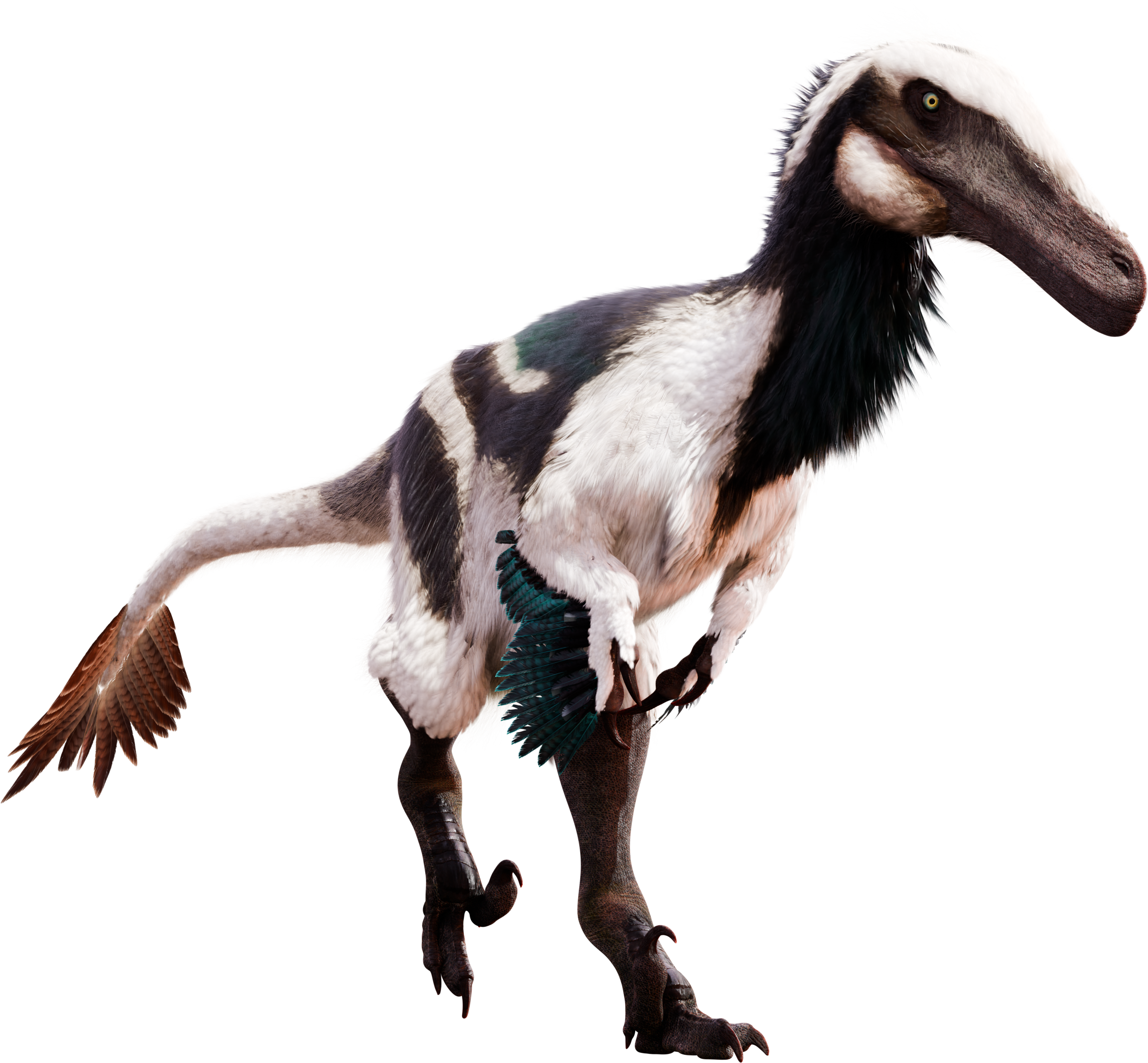 Accurate image of Austroraptor with 360 view