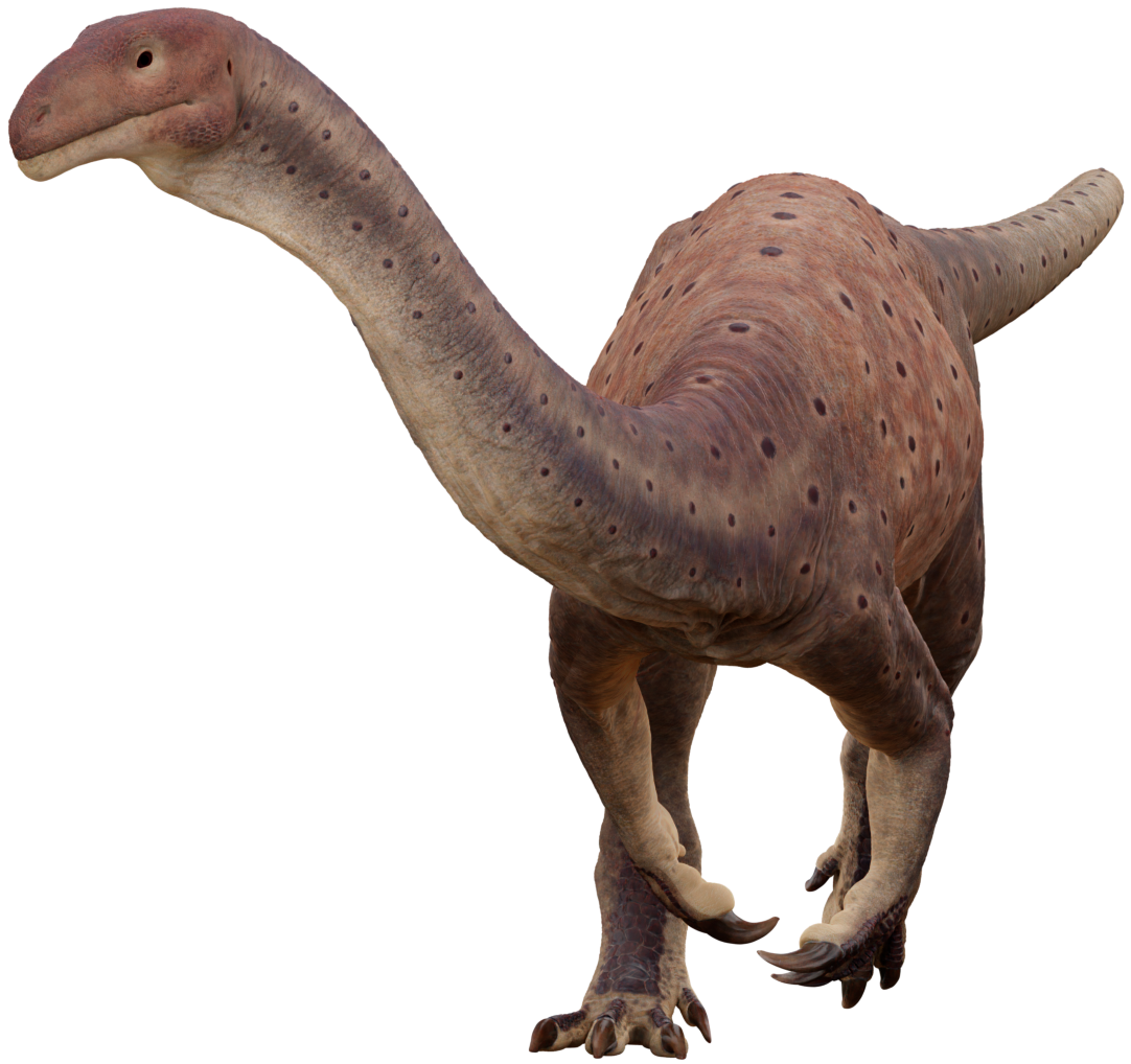 Accurate image of Glacialisaurus with 360 view