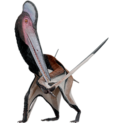 Pterodactylus dinosaur