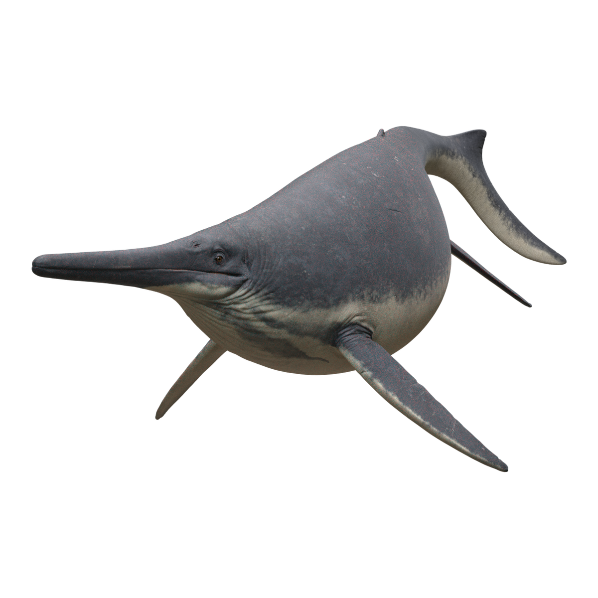 Shonisaurus | Facts app