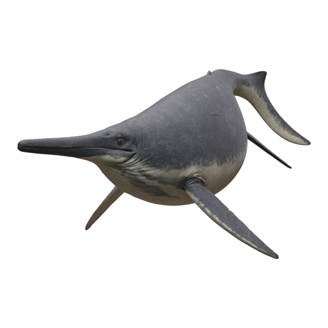 Accurate image of Shonisaurus with 360 view