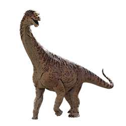 Camarasaurus dinosaur