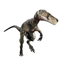 Herrerasaurus dinosaur