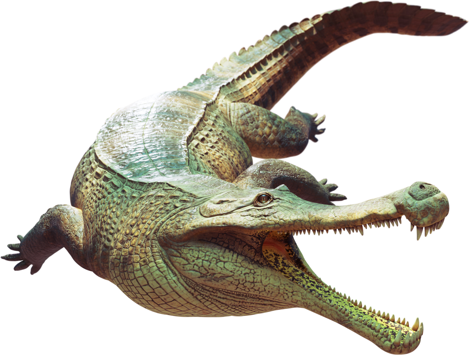Accurate image of Sarcosuchus with 360 view