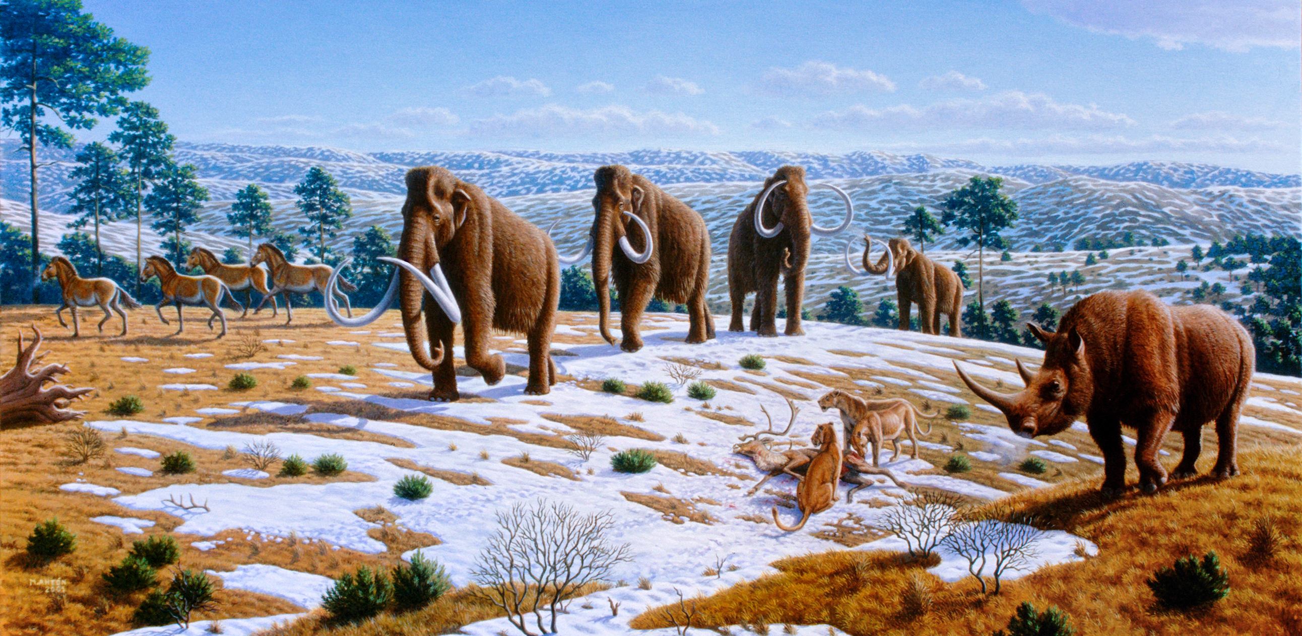Artist rendition of ice age megafauna, featuring woolly mammoths, horses, a woolly rhino, and cave lions