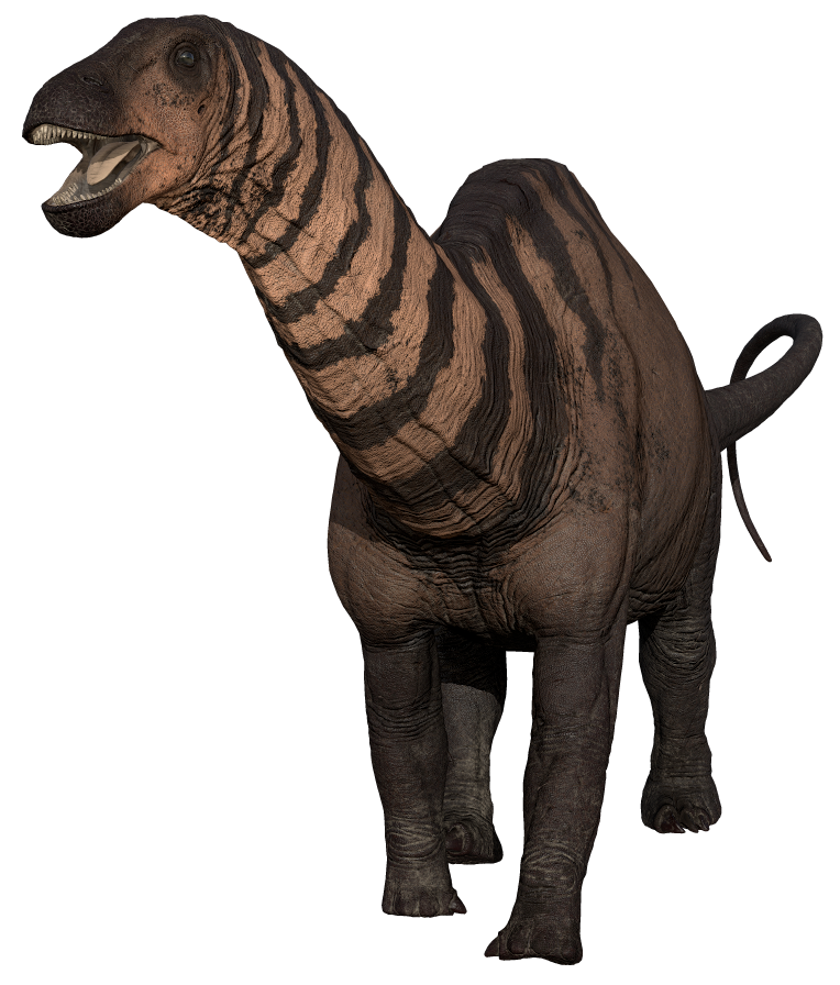 Accurate image of Dicraeosaurus with 360 view