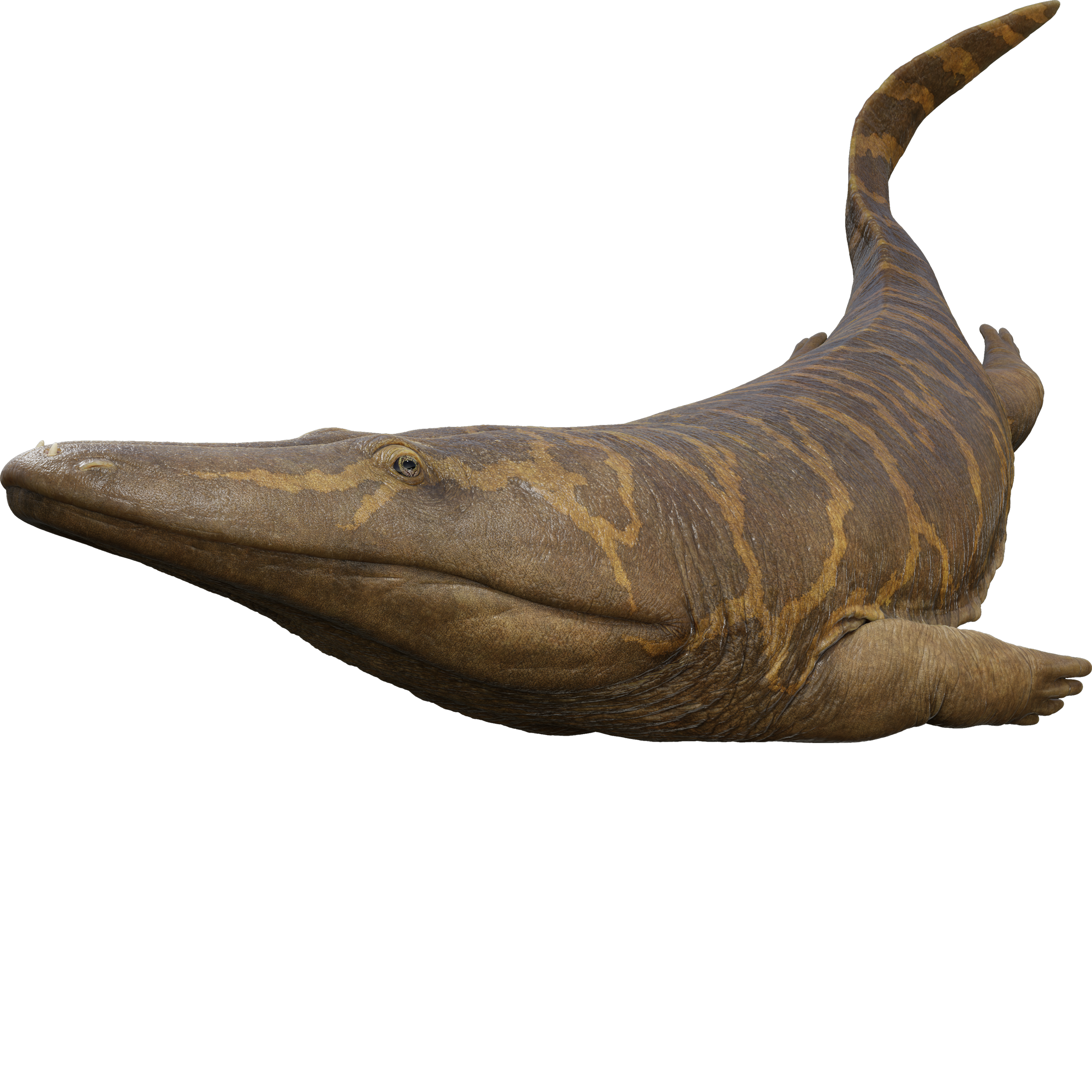 Accurate image of Mastodonsaurus with 360 view