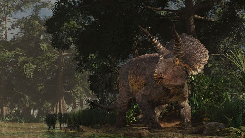 Ceratopsian dinosaur observing its surroundings in a swamp.