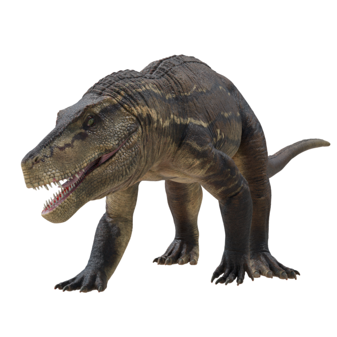 Accurate image of Saurosuchus with 360 view