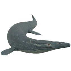 Eonatator dinosaur