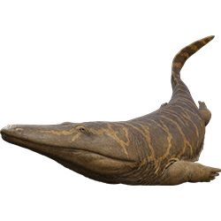 Mastodonsaurus dinosaur