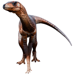 Silesaurus dinosaur