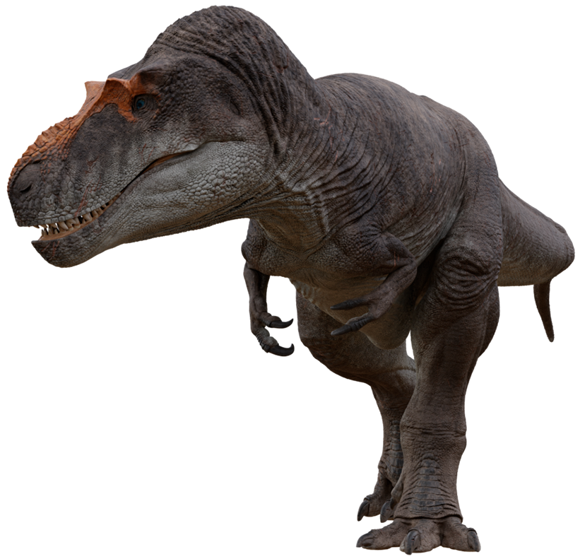 Accurate image of Daspletosaurus with 360 view
