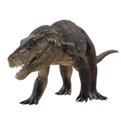 Saurosuchus dinosaur