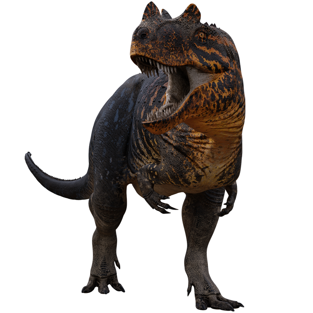 Accurate image of Ceratosaurus with 360 view