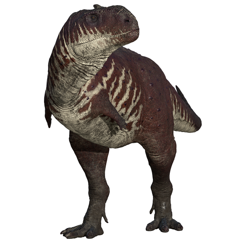 Accurate image of Rajasaurus with 360 view