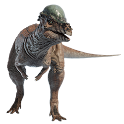 Pachycephalosaurus dinosaur
